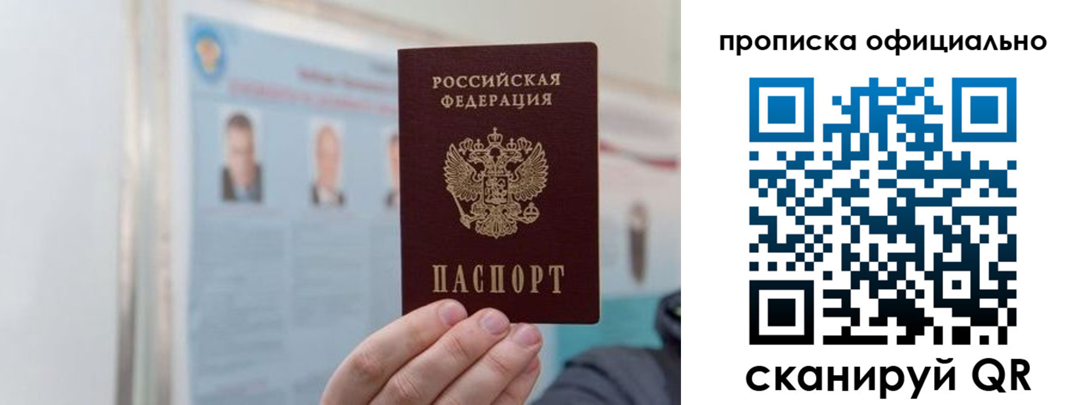 прописка гарантия в Ельне